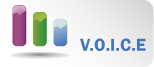 VOICE Banner